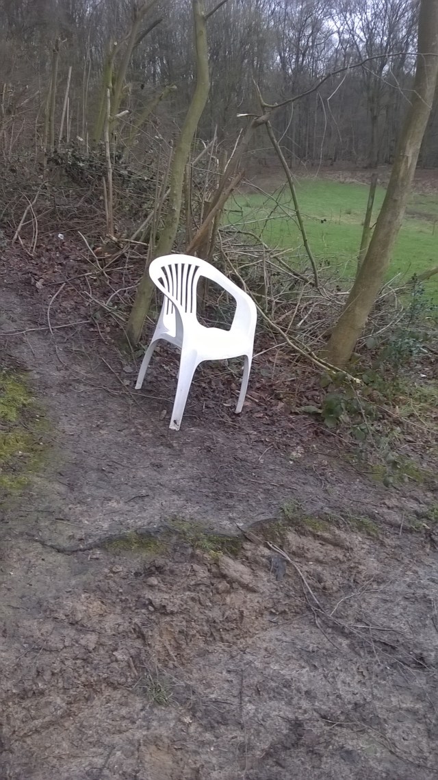 WP_20160213_12_19_50_Pro